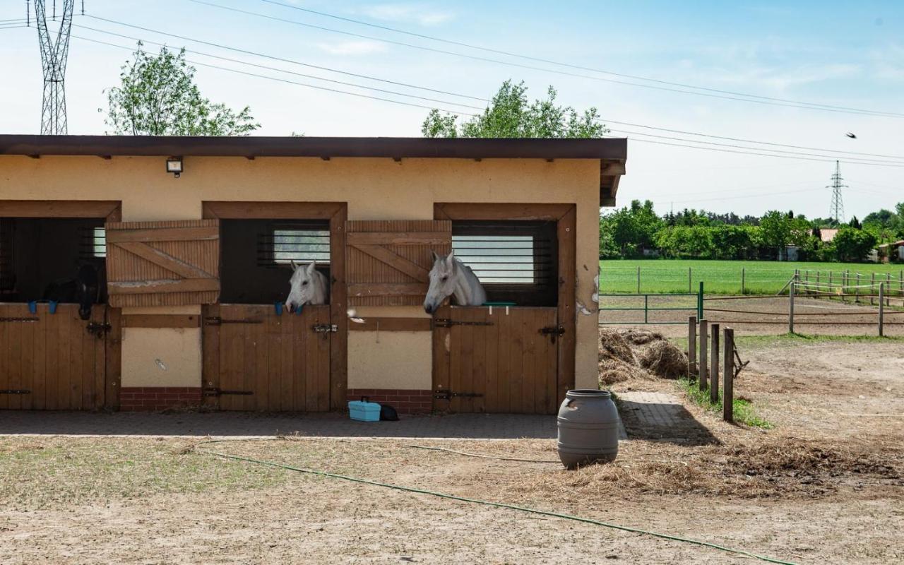 Podkowa Villa Police Eksteriør bilde